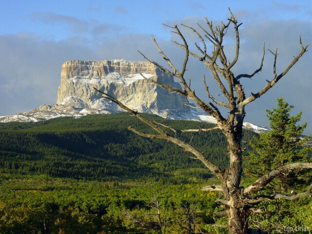 Chief Mountain, Glacier Nat'l Park