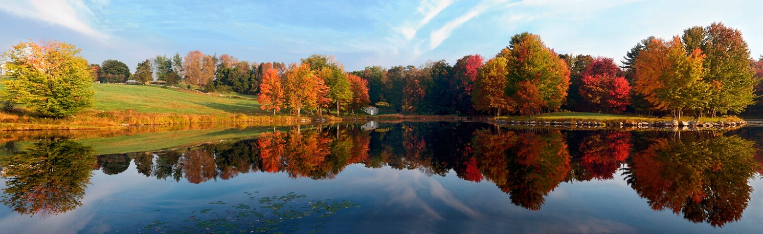 Splendid Fall Colors