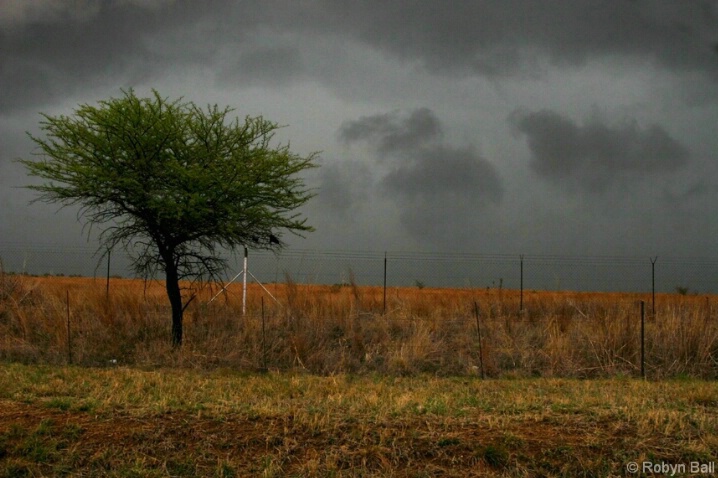 Highveld Thunderstorm