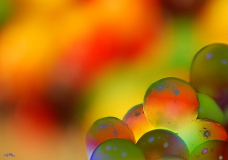 Gobstopper Abstract