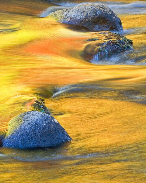 Autumn Stream