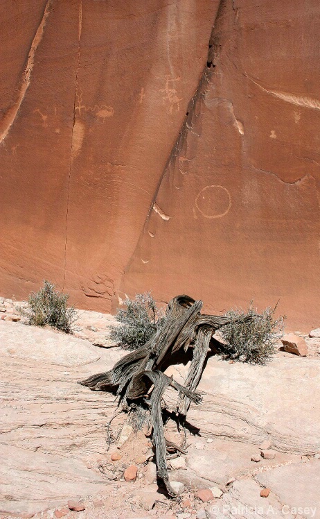 Writing on the Wall: Hidden Valley Hike, Moab, UT