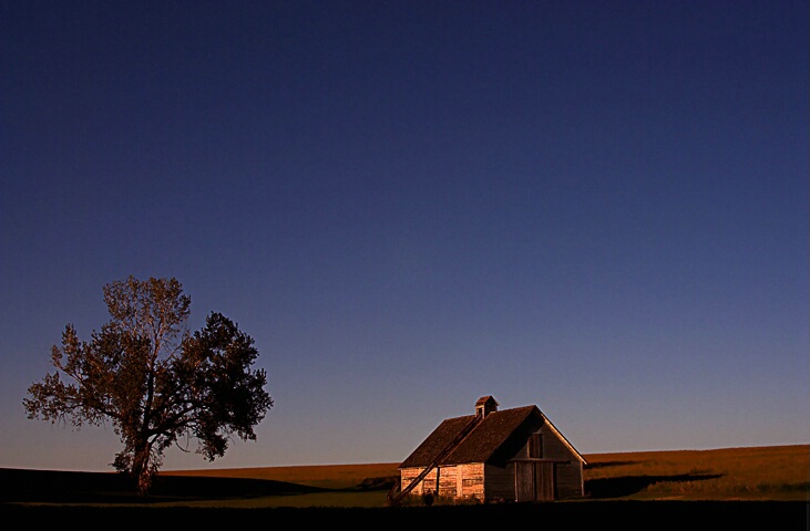 Prairie Shadows