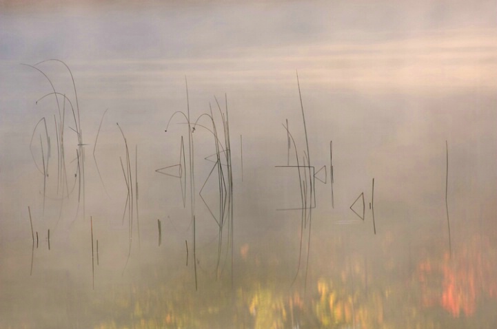Reeds and Autumn Reflections