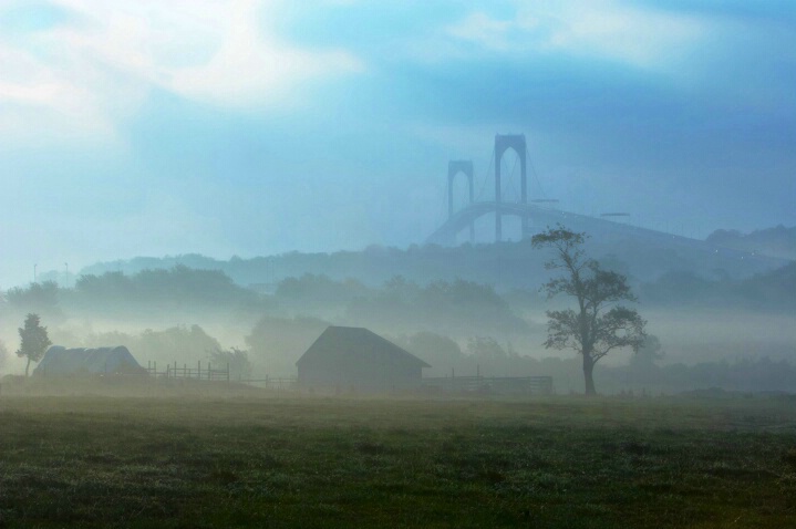 Farm and Fog