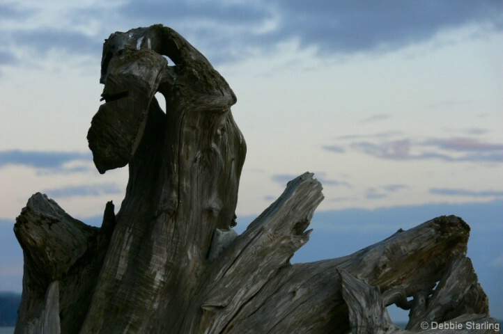 Driftwood dragon
