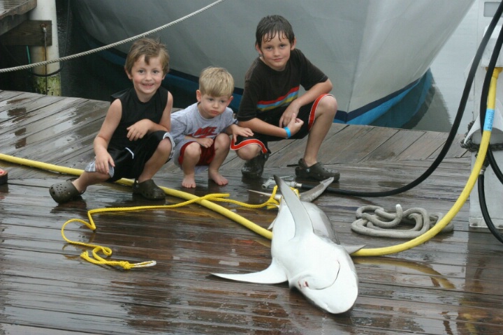 Fishing- 7 ft. bull shark