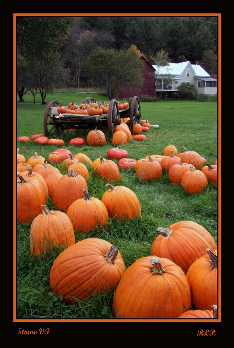The Pumpkin Trail..