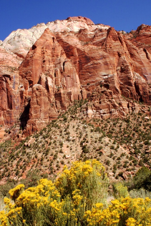 Fall in Zion