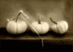Pumpkin Still Lif...