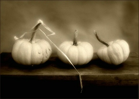 Pumpkin Still Life