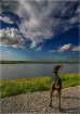 Lake Okeechobee S...