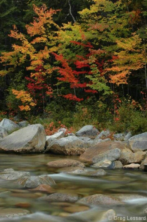 Fall Foliage Along the Swift River - ID: 4865154 © Greg Lessard