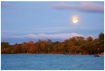 Fall Moon