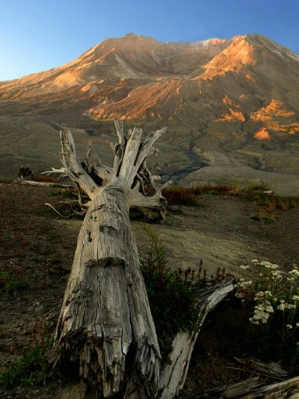 Mt. St. Helens