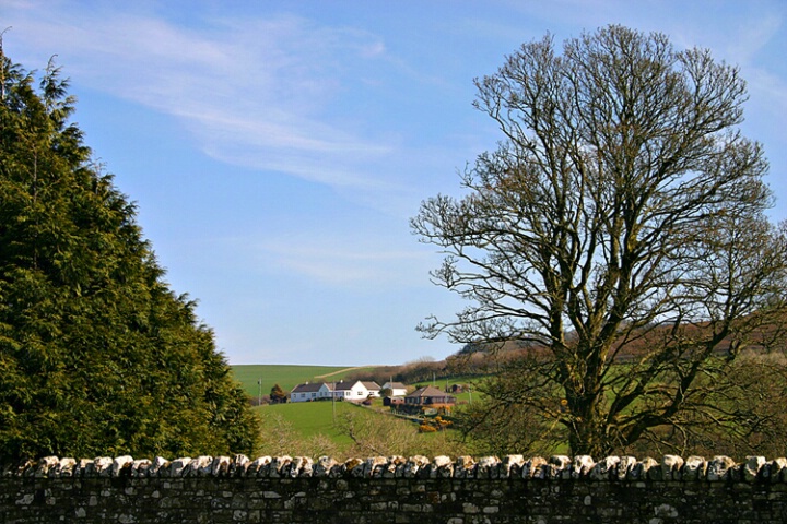 Over The Wall And Through The Trees