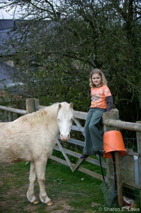 Young girl and Welsh Pony - ID: 4871015 © Sharon E. Lowe