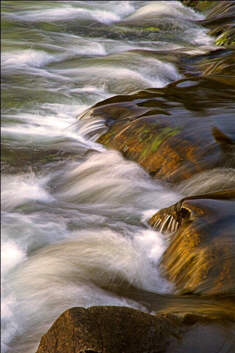 Dreamy Water - ID: 4872403 © Averie C. Giles