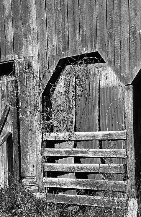 Barn Door - ID: 4879076 © Averie C. Giles