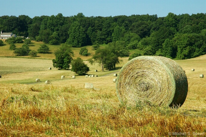 Harvest Time