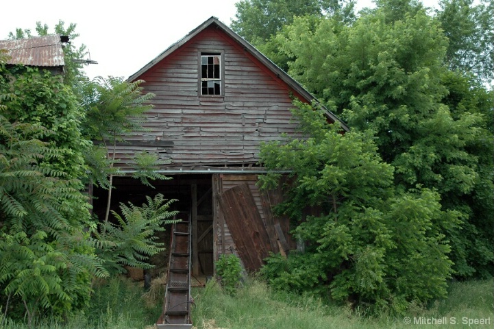 Hidden Barn