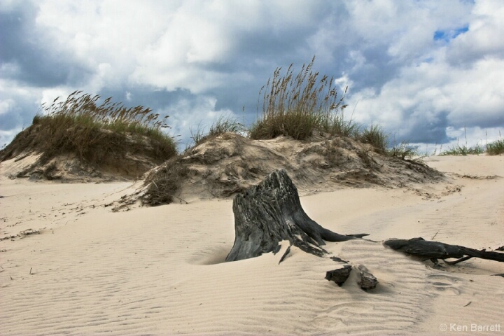 Stumpy Beach