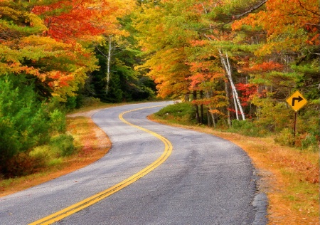 Winding Through Autumn