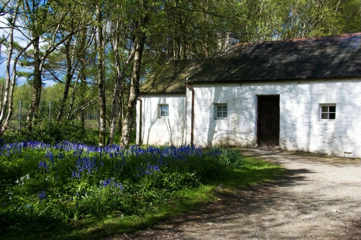 Ulster American Folk Park in Ireland - ID: 4889217 © Eleanore J. Hilferty