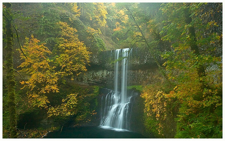 Misty Waterfalls-Silver Falls S.P.