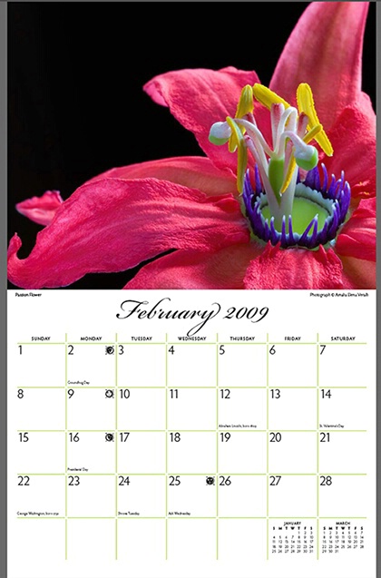 2009 CALENDAR - FEBRUARY