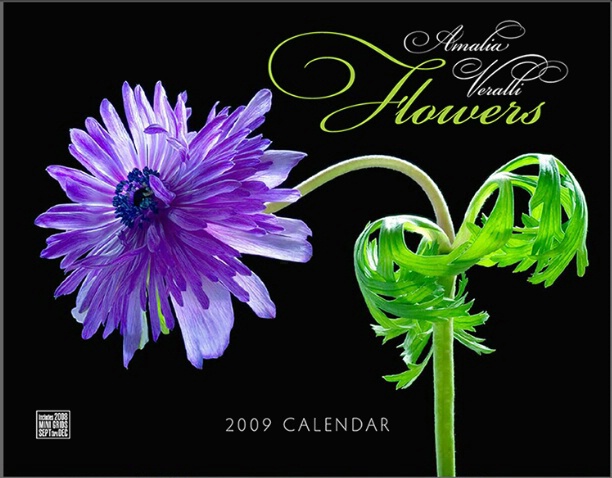 2009 CALENDAR - COVER