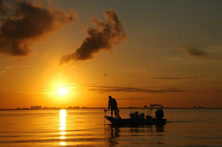 Sanibel  Morning