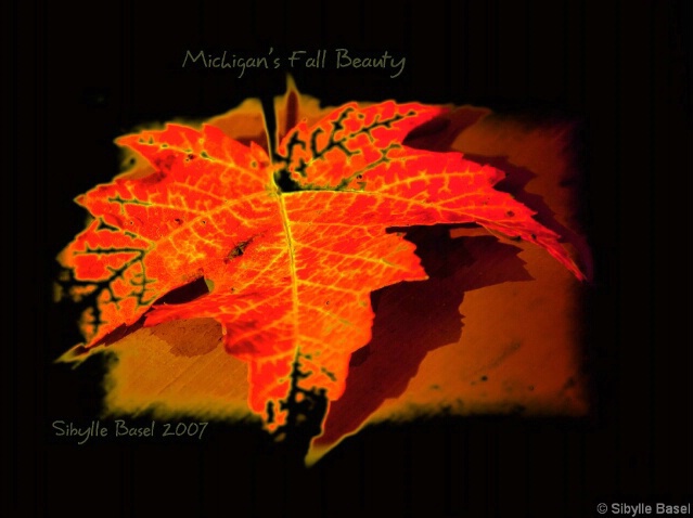 Michigan's Fall Beauty.... - ID: 4905463 © Sibylle Basel