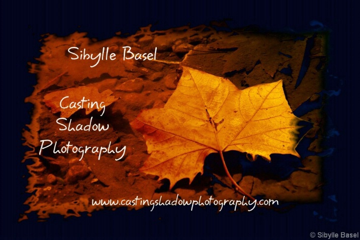 Floating Leaf - ID: 4906595 © Sibylle Basel