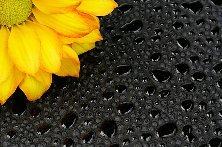 Petals And Drops