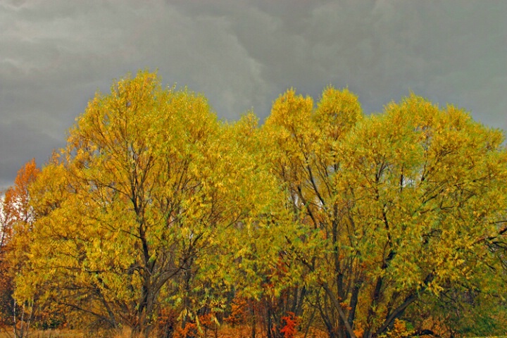 Fall Storm