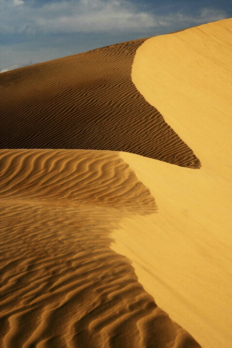 Morning Dunes - ID: 4911973 © Leslie McLain