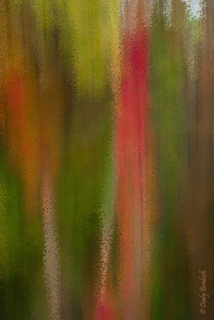 Fall Forest Abstract