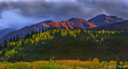 Fall colors Denali Alaska