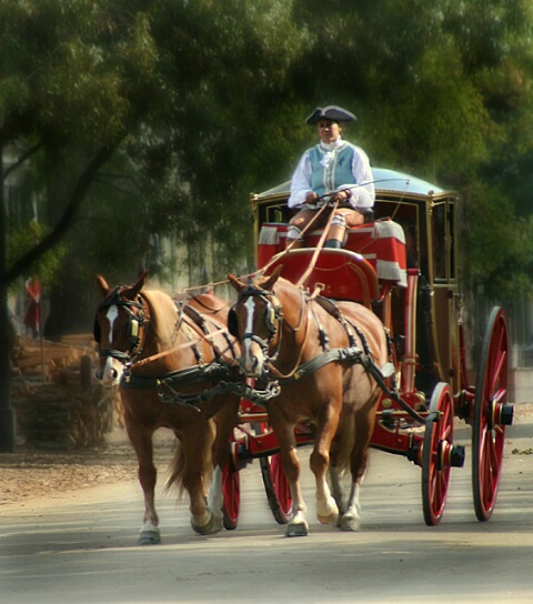 Williamsburg,Virginia