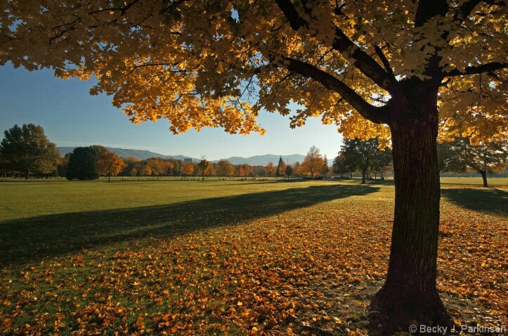 Autumn Morning