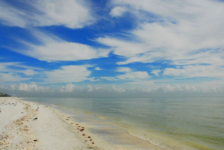 Just another day in Sanibel