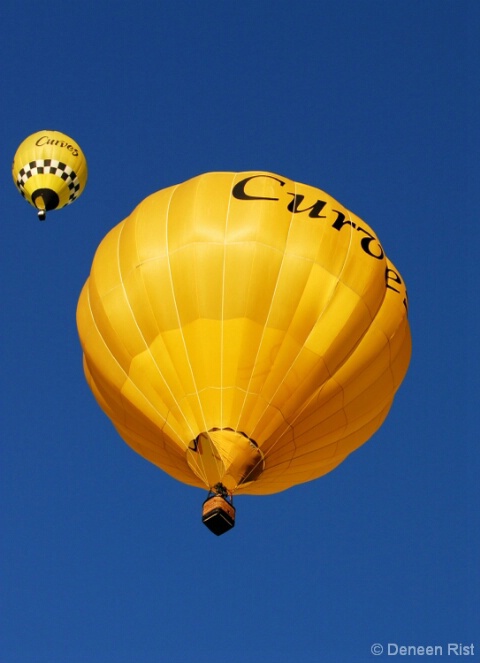 2007 Great Mississippi Balloon Race 1