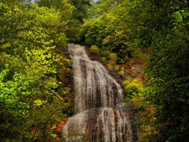 Falling Water