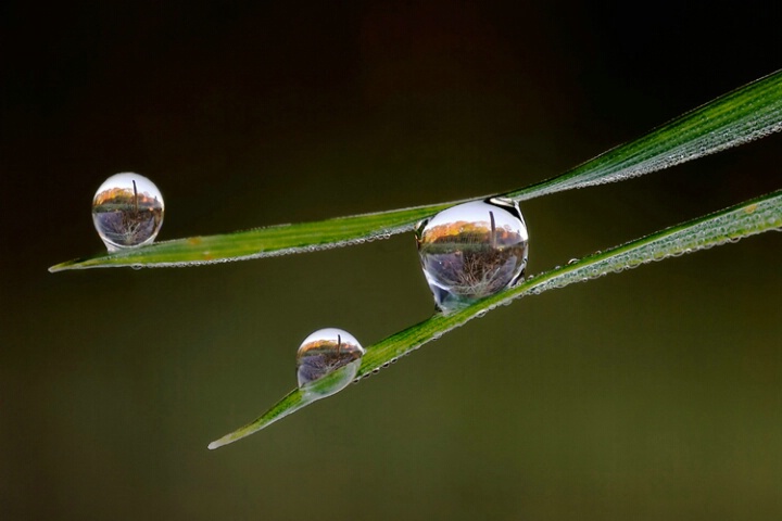 Dewdrop Lenses