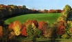 Fall Fields