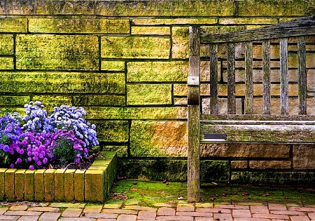 Flowers and Bench