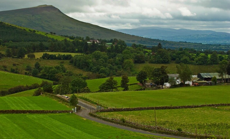 Green,Green,grass of home.