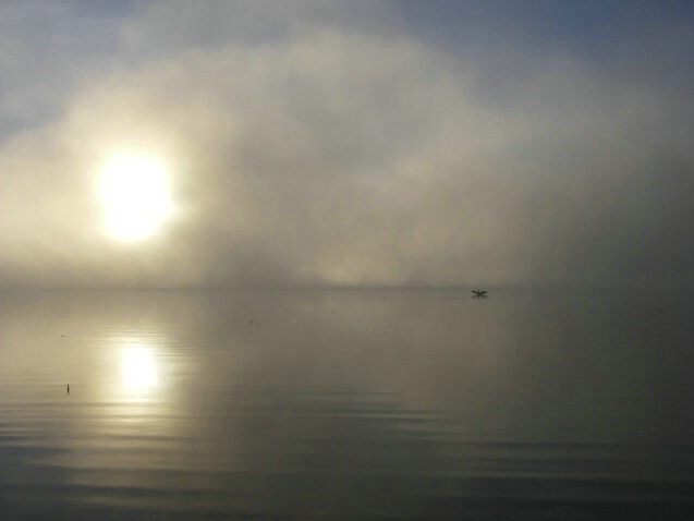 Loon Flapping at Sunrise - ID: 4935948 © Denise Dupras