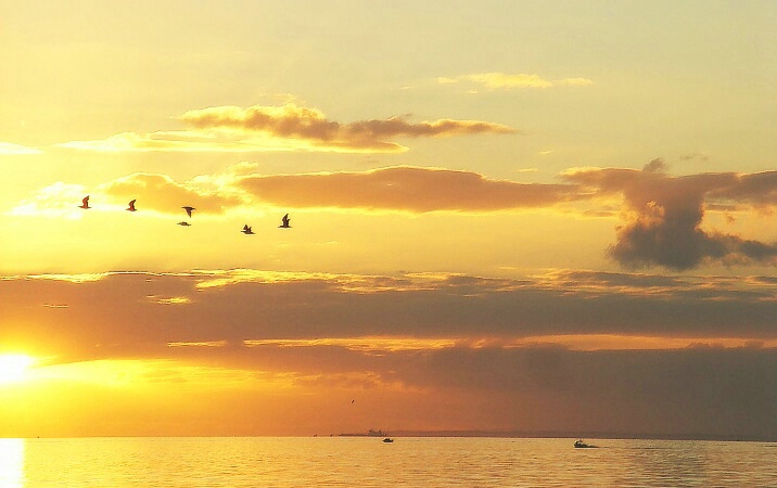 Sunset at Frankston.